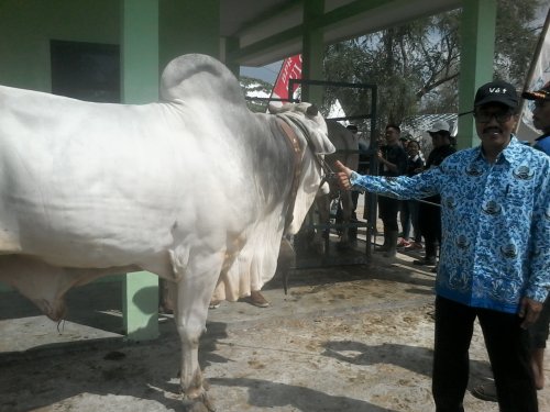 Konten Berita