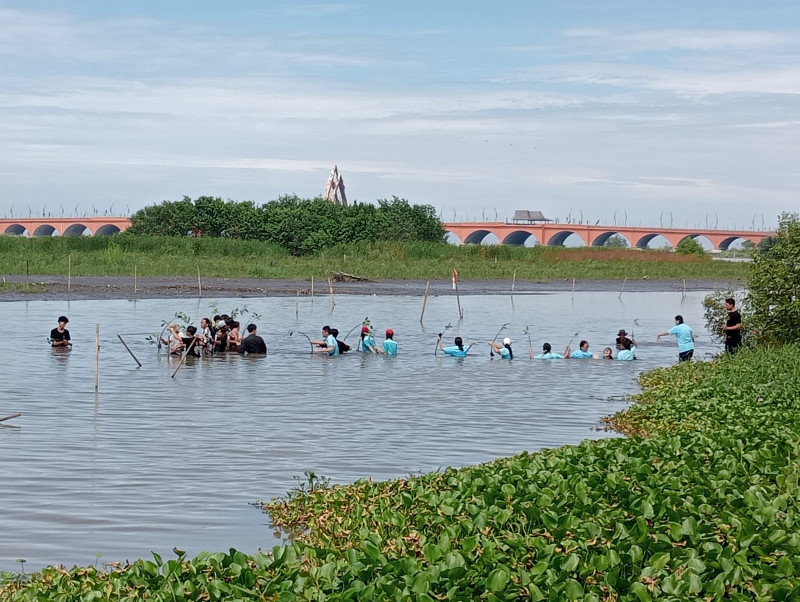 Penanaman Mangrove di sungai Progo Bleberan Banaran 20 Agustus 2025